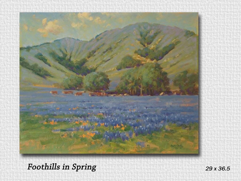 foothills in spring