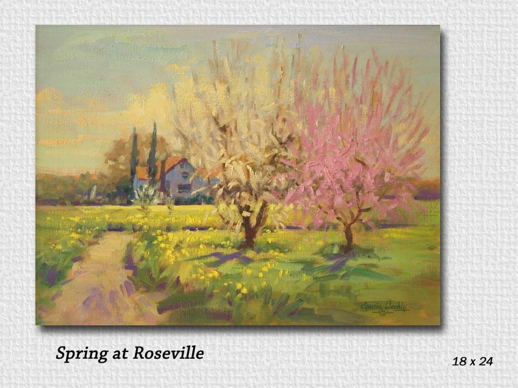 spring at roseville